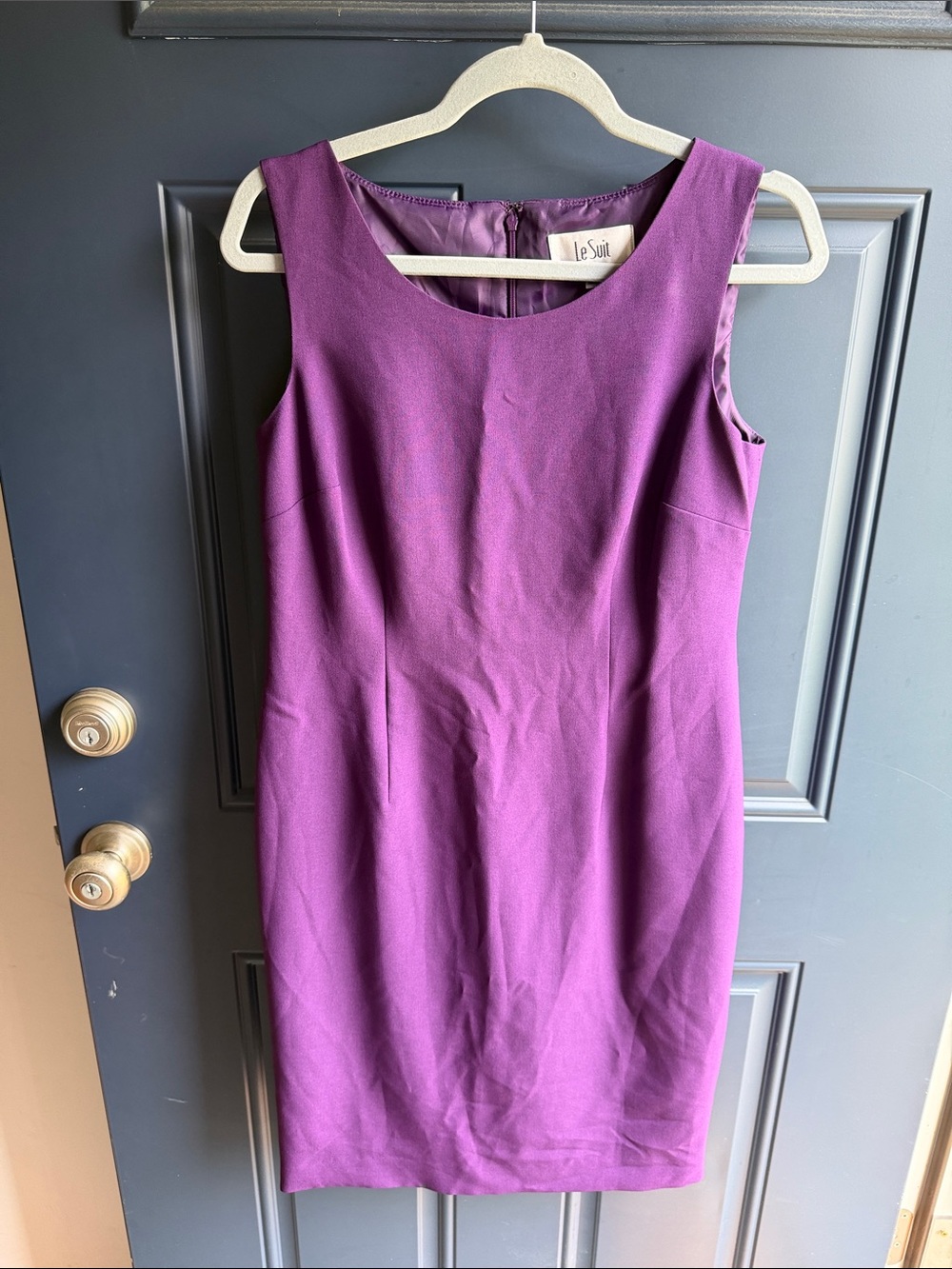 Le Suit Sleeveless Plum Sheath Dress
